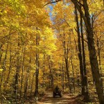 Flambeau Trail System - Fall